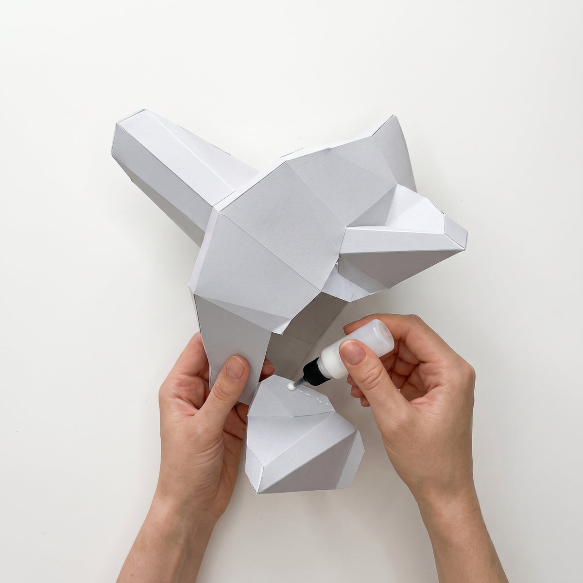 LUP 3D DIN HÂRTIE